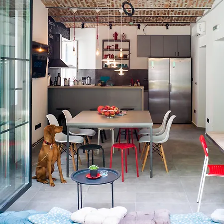 بيت شباب Good People Design بلغراد