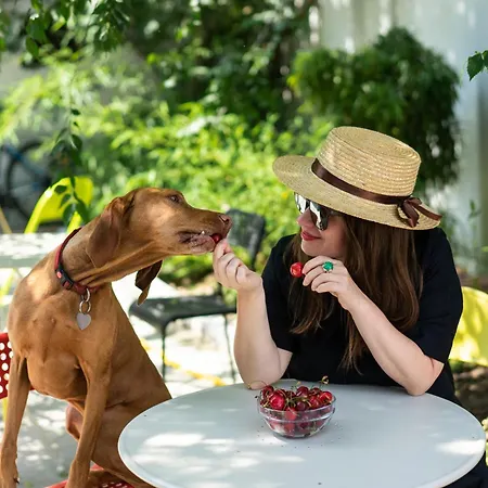 Good People Design * Belgrad