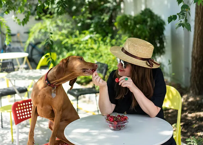 Good People Design * 贝尔格莱德